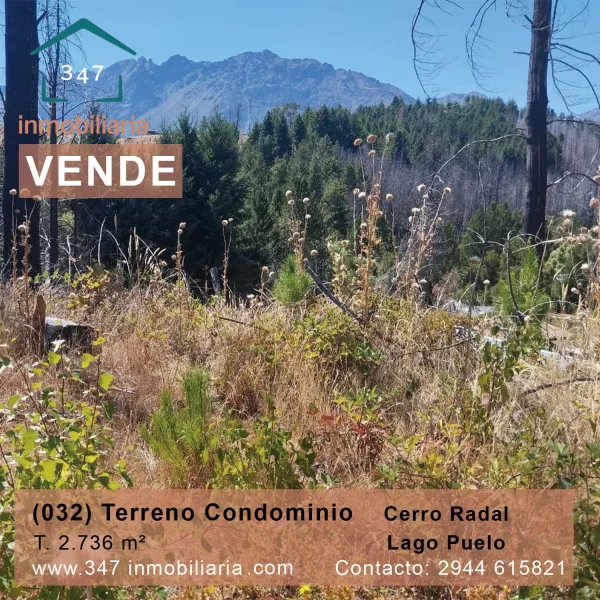 imagen terreno radal